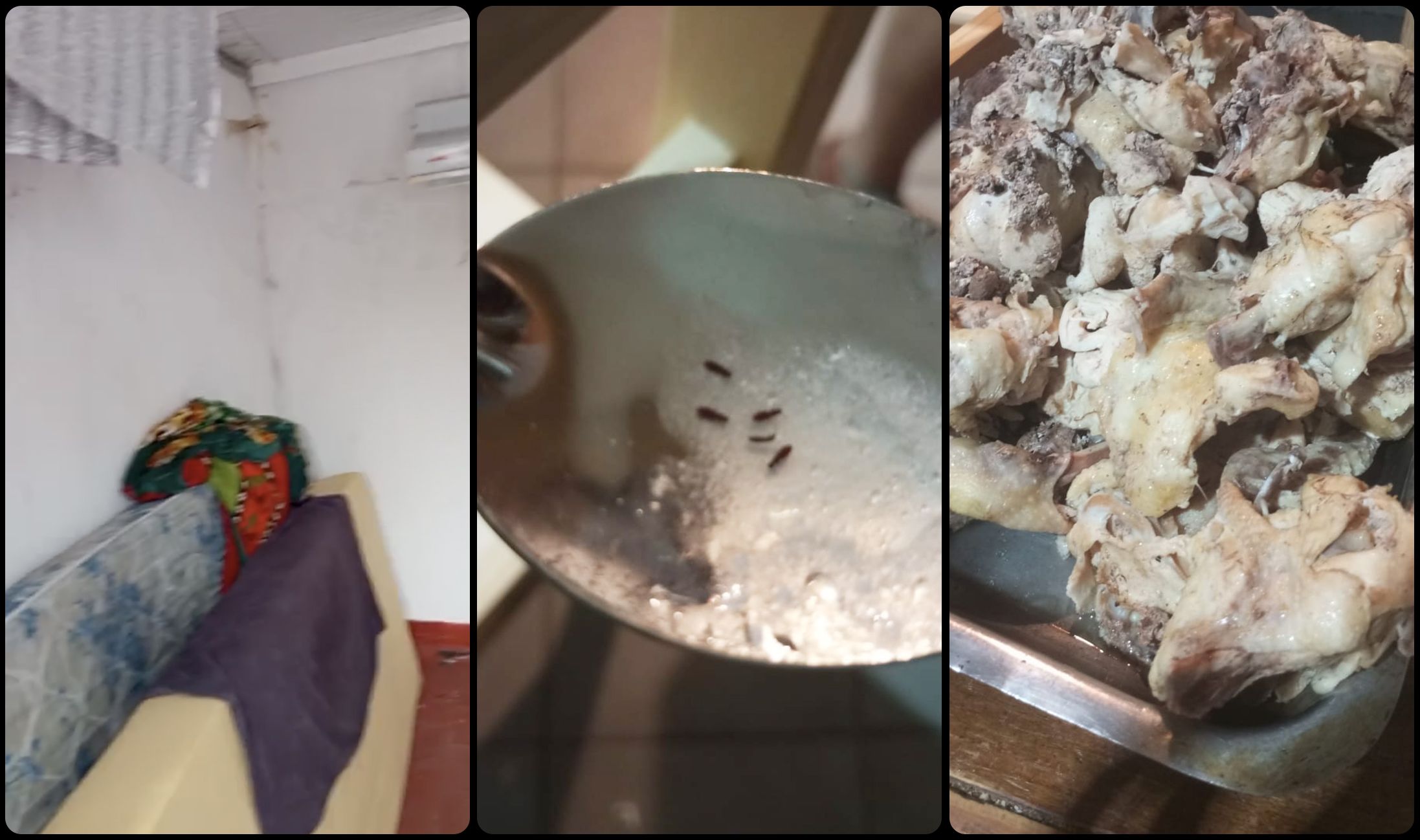 阿根廷足球青训帝国背后的残酷体系